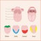 Anatomy of the human tongue