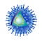 Anatomy of influenza flu virus