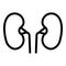 Anatomy kidney icon, outline style