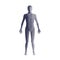 Anatomy of male muscular system. Grey human wireframe hologram