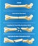 Anatomy various skeletal bone fractures