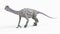 a anchisaurus