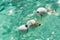 Anchor Buoy floating in clear water