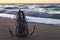 Anchor on the sandy shore of the Caribbean. Seascape at sunrise