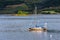 Anchored sailboat at Glencoe