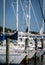 Anchored yachts at the Annapolis EYC Marina