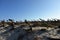 The anchors graveyard in Barril beach, Portugal