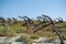 Anchors Graveyard at Tavira Island of Algarve, Portugal