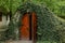 Anciant cellar door with ivy plant, Moldova