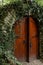 Anciant cellar door with ivy plant, Moldova