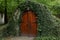 Anciant cellar door with ivy plant, Moldova