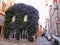 Ancien house adorned of leaves  in the middle of an ancient street to Rome in Italy.