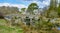 Ancient 13th Century Stone Bridge on Dartmoor England UK