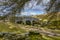 Ancient 13th Century Stone Bridge on Dartmoor England UK