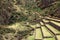 Ancient agricultural terraces of the Pisac Sacred Valley in Peru