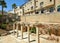 Ancient Alley in Jewish Quarter, Jerusalem. Israel. Photo in old color