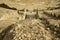 Ancient amphitheater in Bulla Regia, Tunisia. Antic Roman ruins