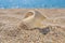 Ancient amphora on the beach sand
