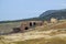 Ancient antique amphitheater in city of Hierapolis in Turkey. Side view. Steps and antique statues with columns in the