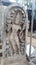 Ancient Anuradhapura Stone Carving in Sri Lanka