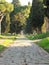 Ancient Appia Way to Rome in Italy.
