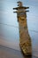 Ancient austrian sword on wooden background