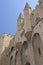 Ancient Avignon Cathedral and Palais des Papes