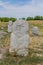 Ancient balbals stone markers near the Burana tower, Kyrgyzst