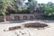 Ancient baptismal basin