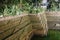 Ancient bathing ghat in Kunnrikka Sree Muchilot Bagavathi temple in Kerala