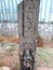 Ancient beautiful carving of rock pillar