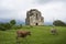 An ancient Bedian temple in the mountains of the Republic of Abkhazia. Cloudy day May 19, 2021