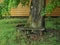 Ancient bench on the tourist trail, South Bohemia