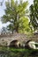 Ancient bridje on the crystalline wather in the Garden of Ninfa