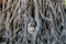 Ancient Buddah head in a tree in Thailand