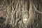 Ancient Buddha Statue in tree roots at Mahatat Temple, Ayuttaya, Thailand