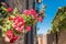 Ancient Building, whit red flower, in Civita di Bagnoregio with Tiber river valley, Lazio, Italy