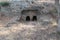 Ancient Burial Caves, Kfar Shmaryahu, Israel