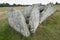 Ancient burial ground in Ekornavallen. FalkÃ¶ping district. Sweden. Europe.