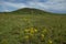 Ancient burial mounds and stones on the graves.