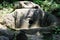 Ancient burial and religious building dolmen.