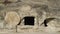 Ancient burial site in Israel with round tombstone