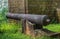 The ancient cannon at Noen Wong Fortress.