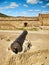 An ancient cannon stands inside an ancient Genoese fortress