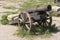 Ancient cannon on wheels photo