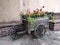 An ancient cart full of flowering plants. Roses and sunflowers.