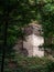 Ancient castle tower ruins in the European forest