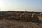 Ancient cenotaph in bada baag Jaisalmer Rajasthan India