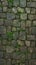 Ancient charm moss covered stone wall, a timeless and rustic texture