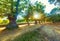 Ancient chestnut trees at sunset  in Sanctuary of La Alcobilla located on an old Celtic temple. Zamora, SpainAncient chestnut